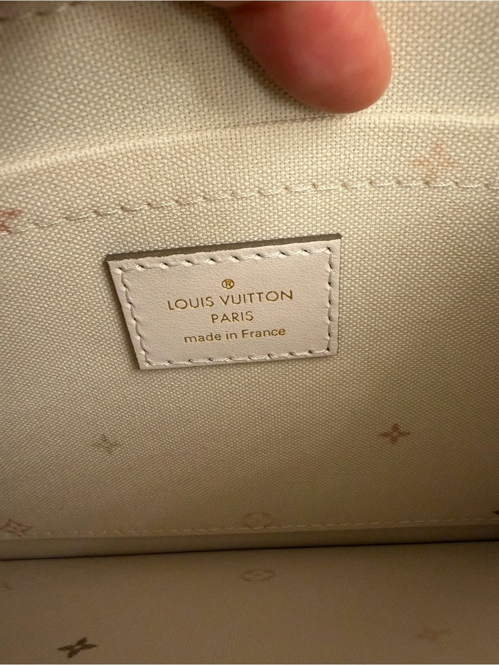 Louis Vuitton Limited Edition Neverfull MM Pouch (PRICE FIRM)